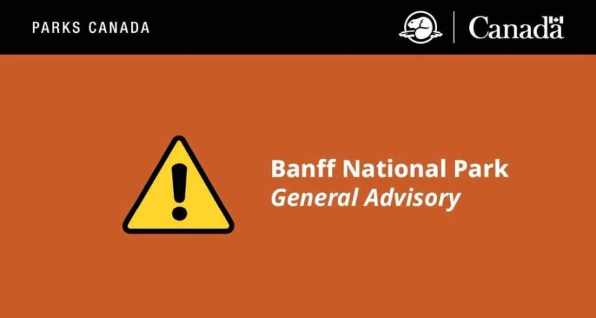 Rockslide in Banff National Park closes popular climbing area