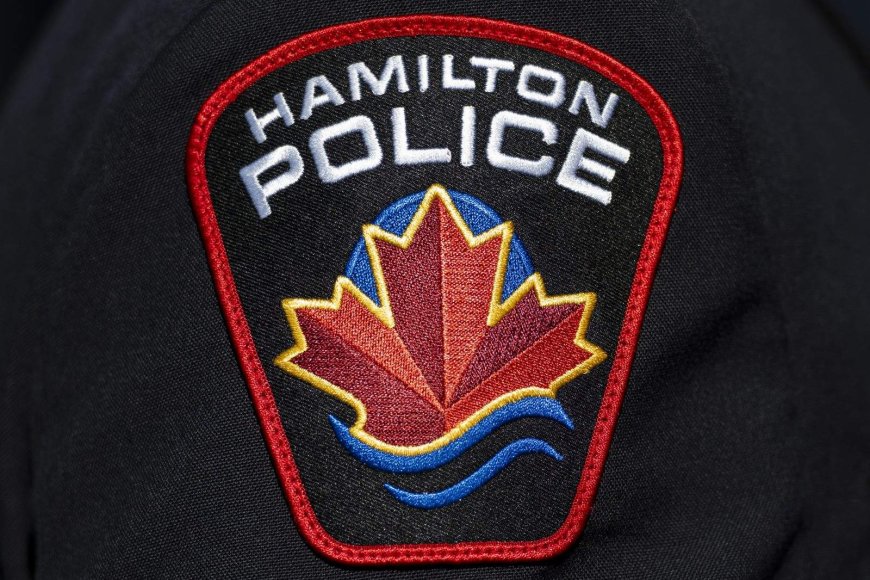 Boys aged 12 and 11 suspects in assault on another child, Hamilton break-in: police