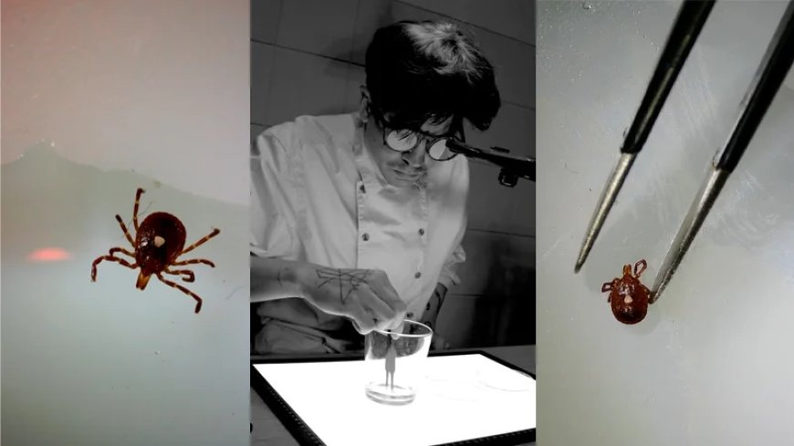 Watch – ‘Zombie Tick’ Survives Over Two Weeks of Drowning, Suffocation… Next Test: Freezing!