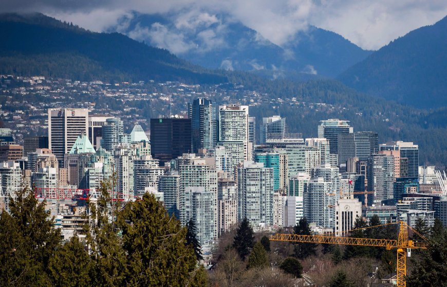 Mom-and-pop landlords outpacing big real estate investors: StatCan data