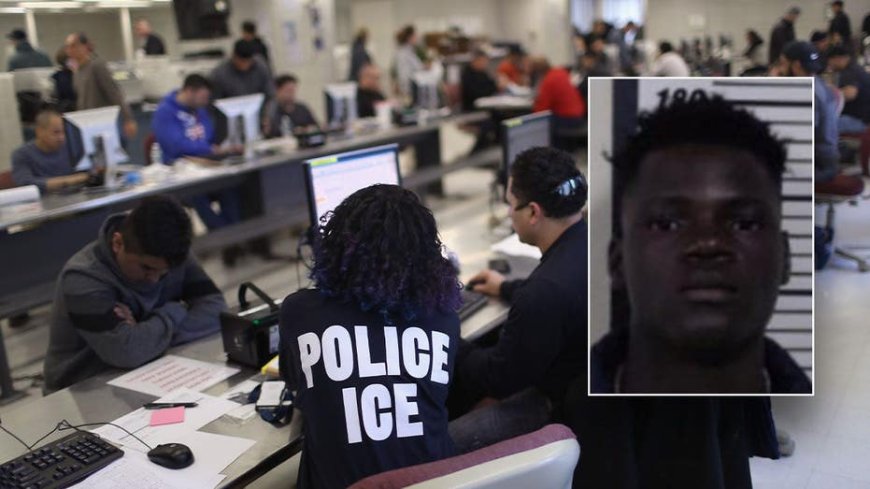 ICE asks Michigan to hold Haitian illegal alien who allegedly 'barbarically stabbed' coworker