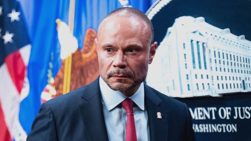 Dan Bongino says Democrats dumped Graham Platner over 'power' not 'principle' after bombshell rape allegation