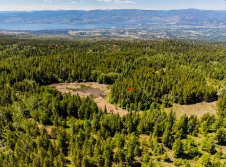 BC Parks fundraises to protect one of Myra Bellevue’s last privately-owned parcels