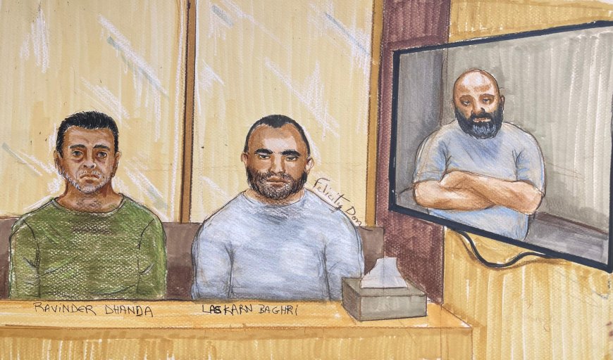 3 B.C. men facing drug trafficking charges from U.S. authorities appear in court