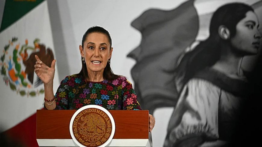 Mexican President Vows To Take Legal Action Against US ICE Agents After Illegal Alien In Texas Shot Dead For Ramming Car Into Agents