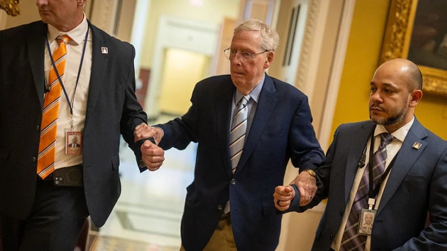 Trump Says He Has ‘No Idea’ About Mitch McConnell’s Condition, As Calls for Proof of Life Grow