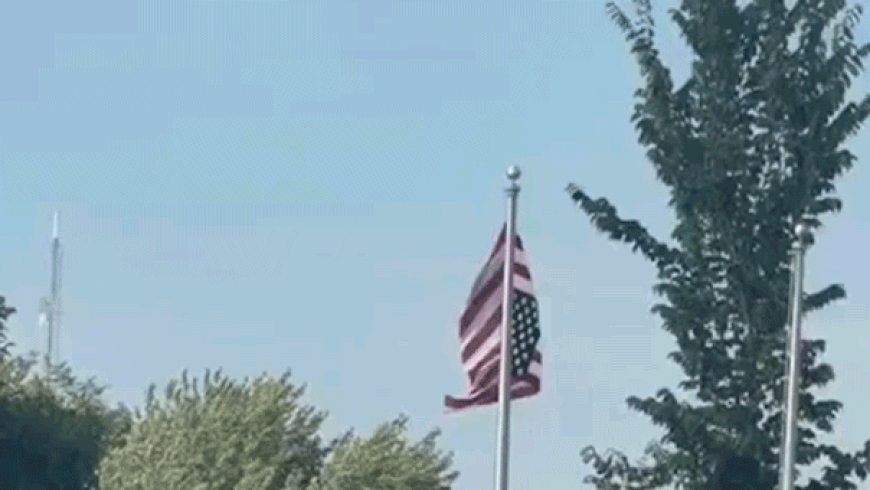 Upside-down American flag at Minnesota Somali celebration sparks community chaos: 'Unfathomable'