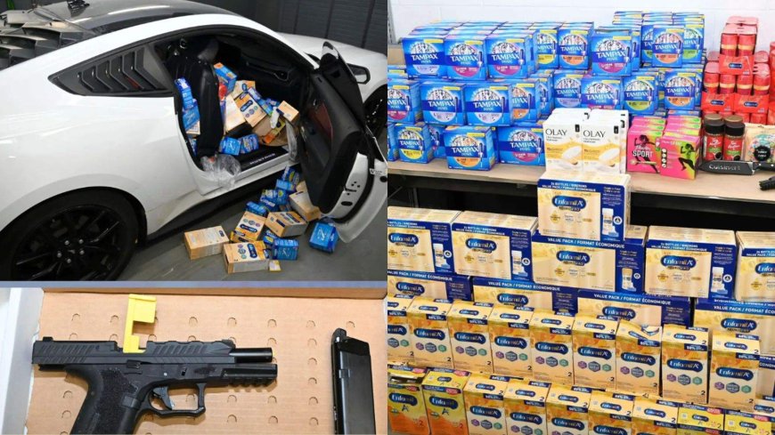 Police seize nearly $6K in baby formula, hygiene products after fraud arrest