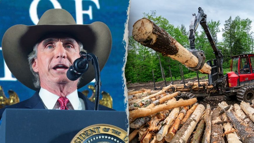 Trump admin scraps ‘weaponized’ wildlife rule that became 'burden' on American families and businesses: Burgum