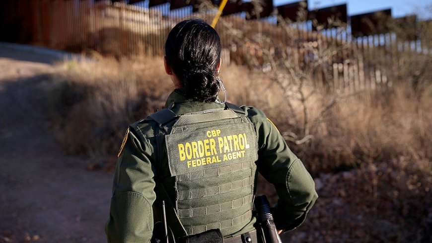 Border agents crack open cabbage shipment hiding multimillion-dollar secret at Texas border