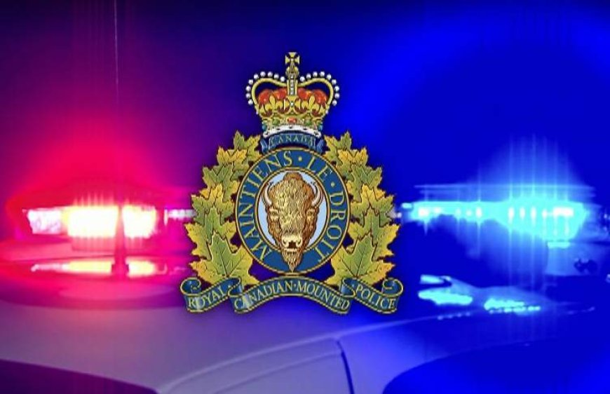 Alberta RCMP investigating reports of ‘multiple fatalities’ in crash near Gibbons