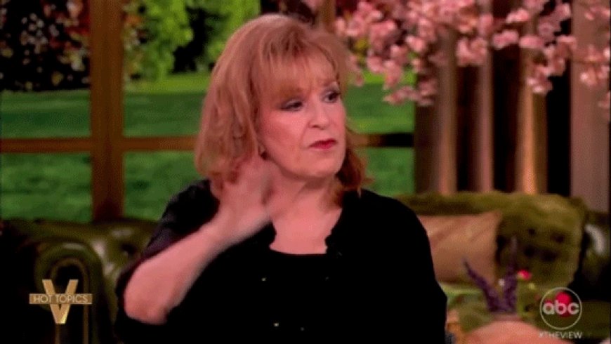 Joy Behar rejects Kamala Harris for 2028, tells 'The View' co-hosts they're not living in 'reality'