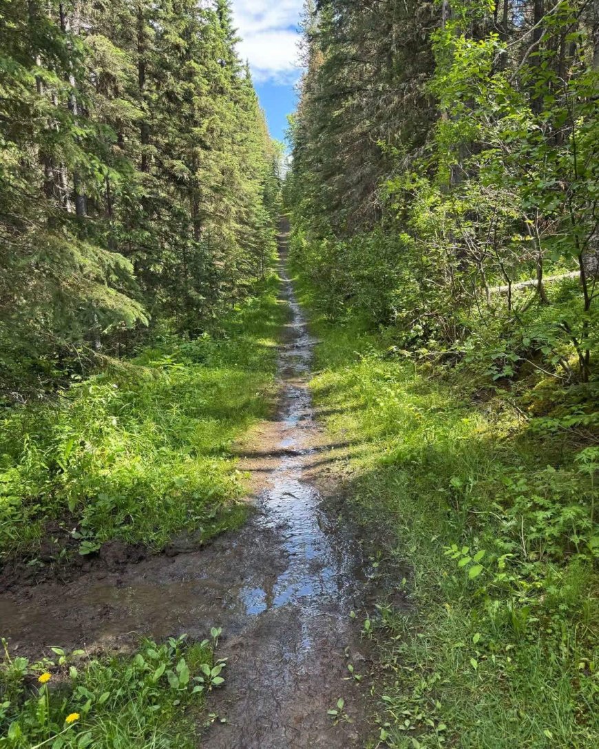 Kananaskis drying up after recent floods but some trails remain closed