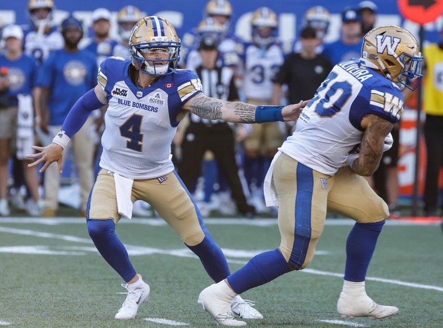 Newcomer Dru Brown leads Winnipeg Blue Bombers to 2nd straight win