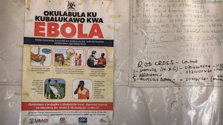 Congo Ebola Outbreak May Be Four Times Larger Than Figures Suggest
