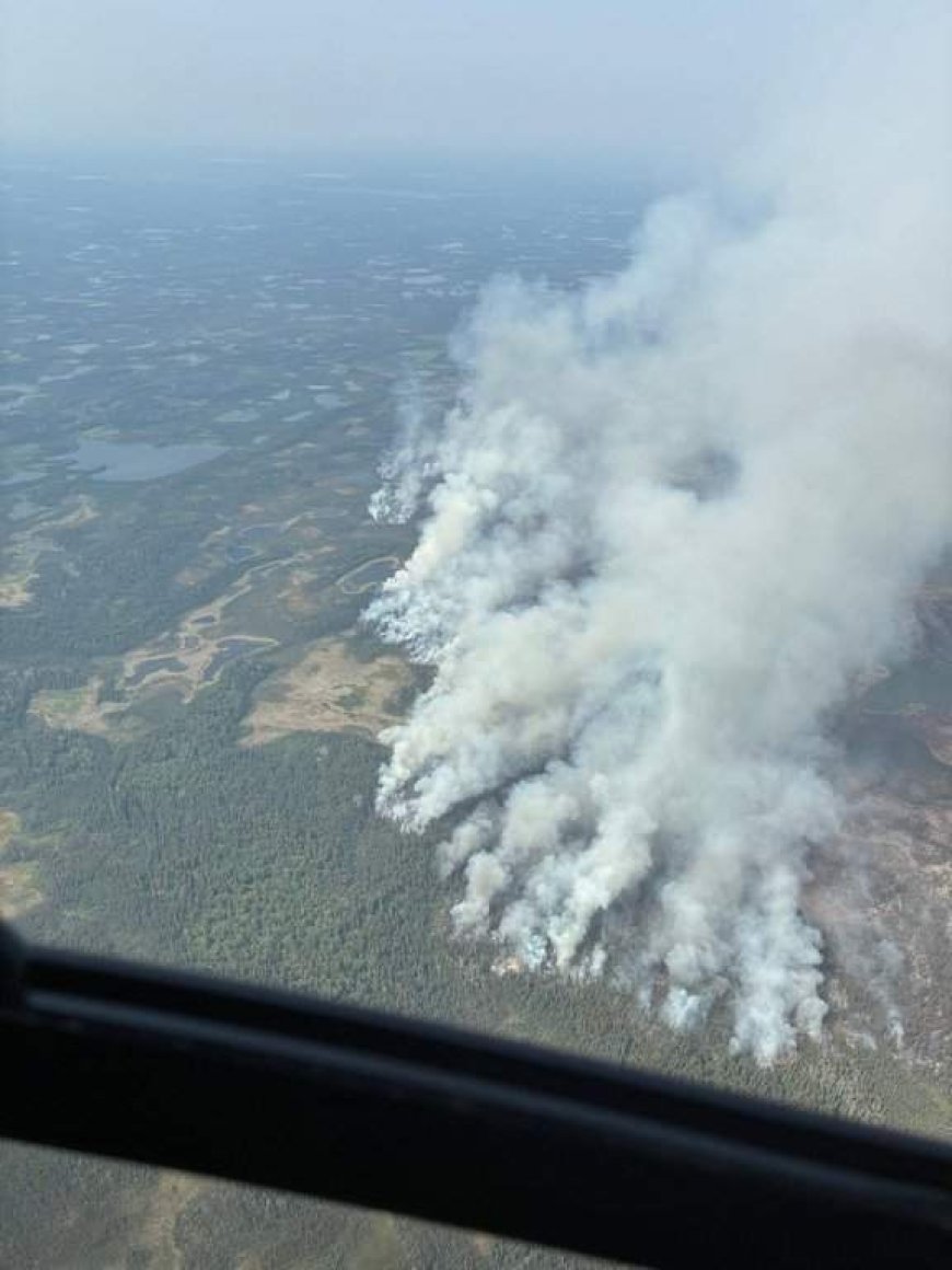 Veteran pilot killed fighting N.W.T. wildfire was a trusted leader and patient mentor