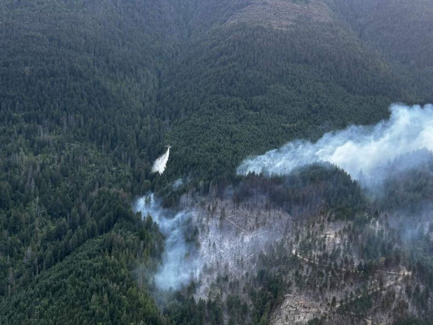 Evacuation alert for East Kootenay wildfire, Brunswick Creek fire grows: officials