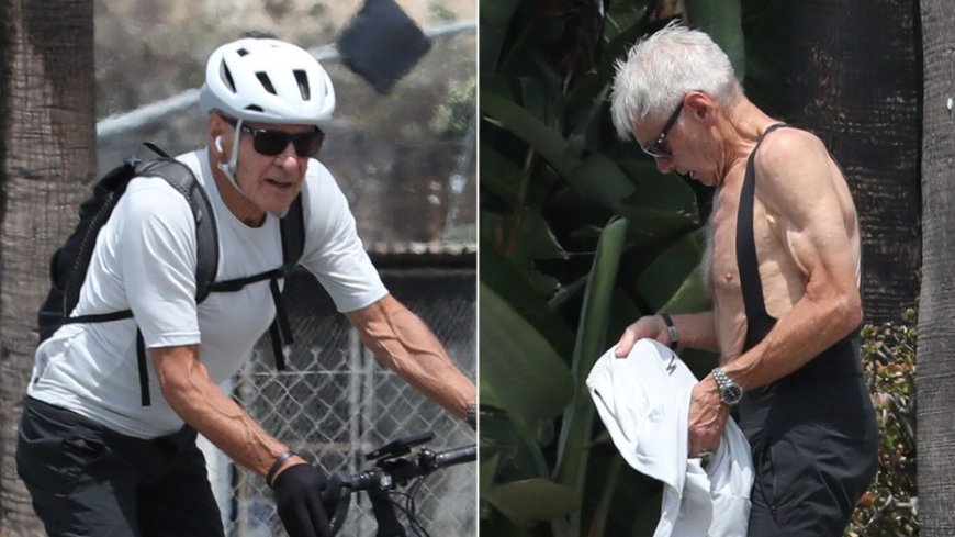 Harrison Ford turns heads with toned physique during Los Angeles bike ride