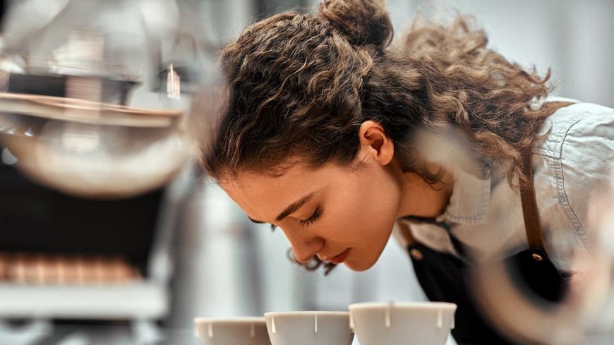 Looking for better coffee? Hundreds of chefs and sommeliers say these are the world's best