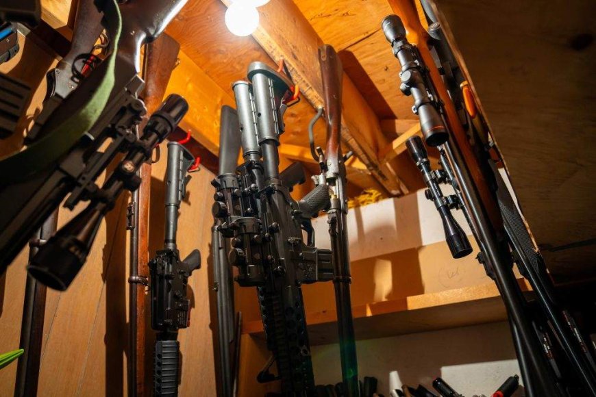 Former MP charged after police seize more than 400 guns from Manitoba home