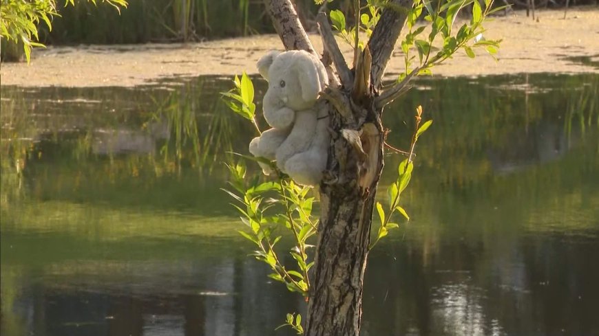 Young child dead after drowning in southeast Calgary stormwater pond