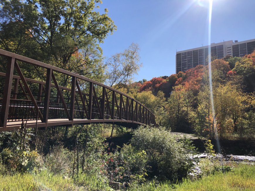 New trail opens in midtown Toronto ravine