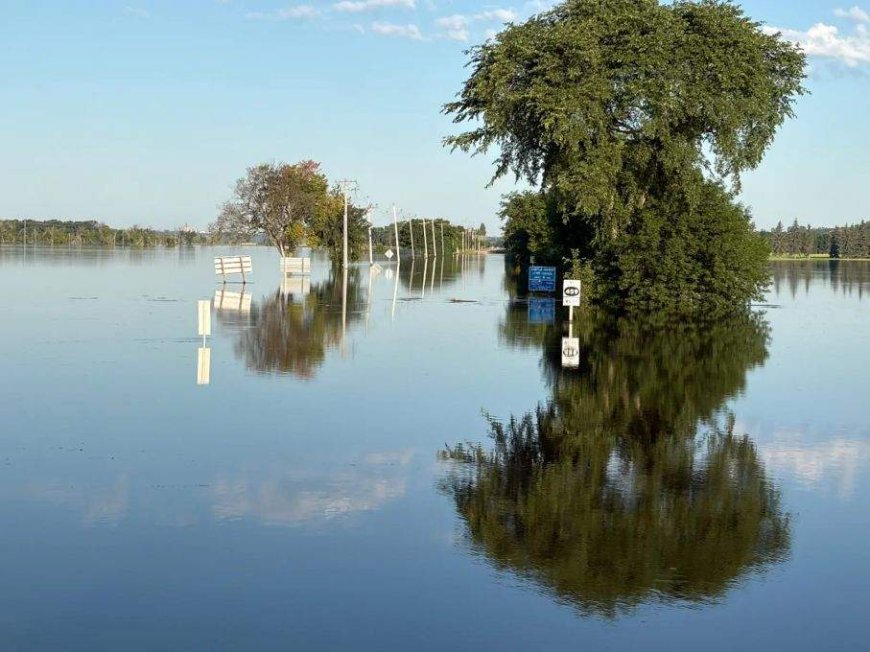 Assiniboine River crested overnight, Brandon mayor says