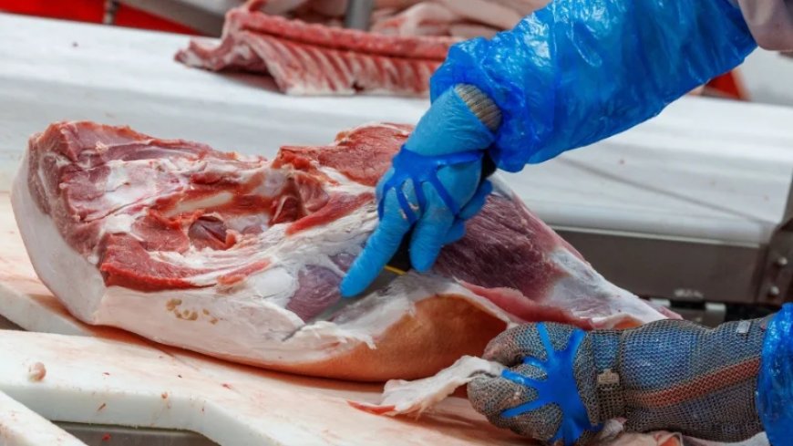 To the Slaughter: Why We Need a Political Movement To Safeguard Our Access to Essential Animal Foods