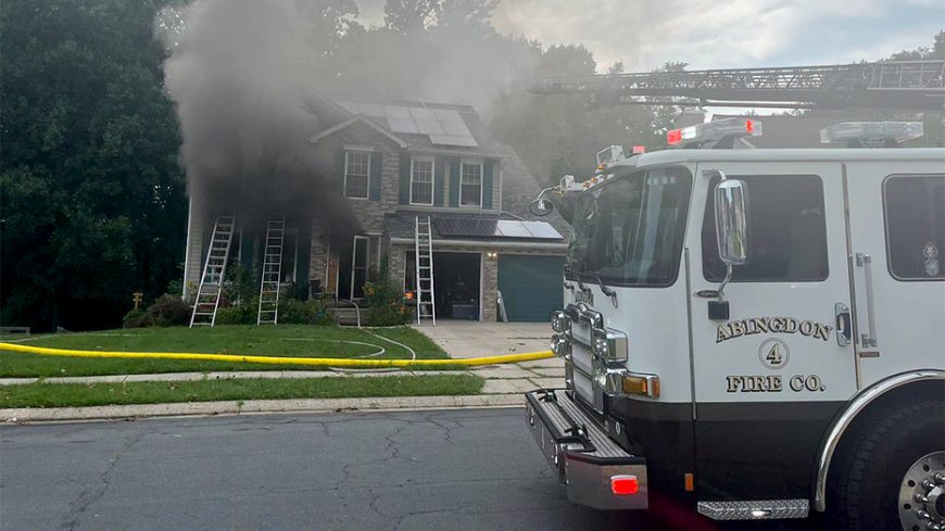 Dog accidentally turns on toaster, sparking Maryland house fire that killed 3 family pets