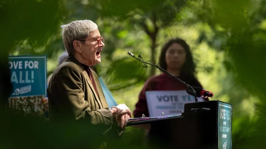 ACLU To Spend $25 Million Ahead Of Midterms, Pushing Abortion, Transgenderism