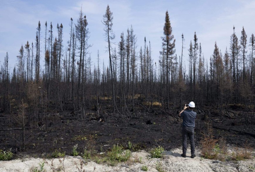 Open-air fire ban lifted in many parts of Quebec