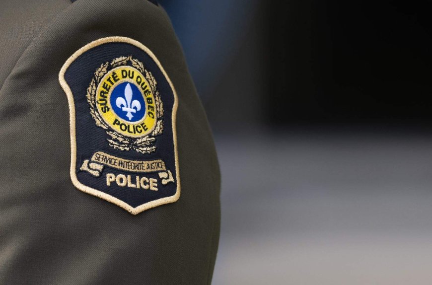 Five-year-old boy dies after being hit by a truck in Quebec’s Gaspé region