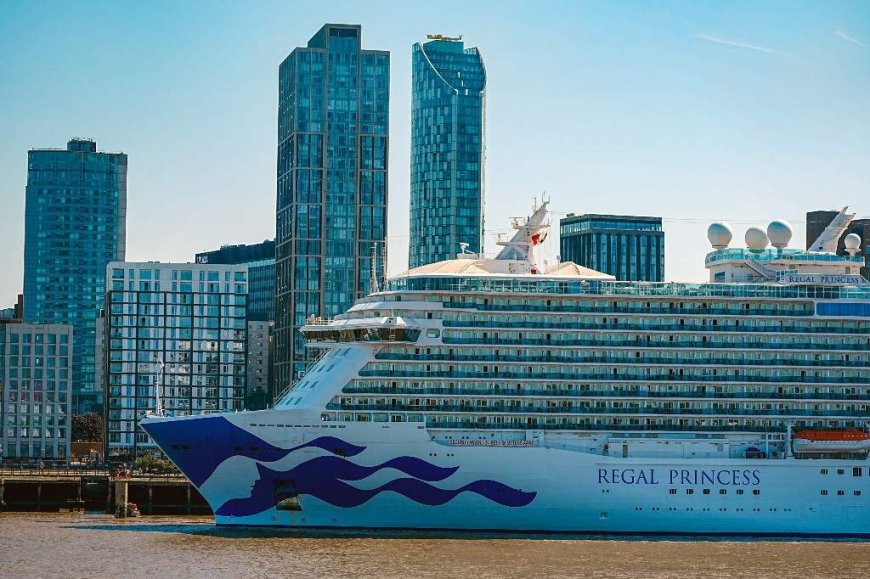 Crew member dead after going overboard Regal Princess cruise ship