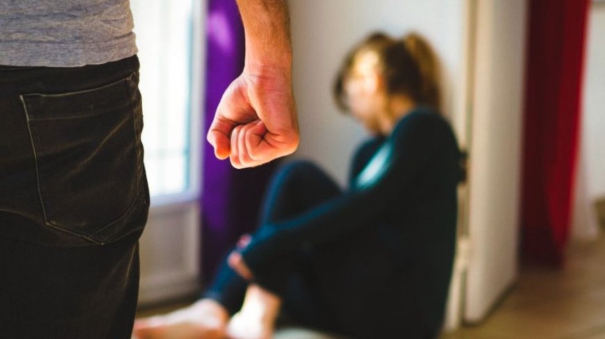 Battered Woman’s Syndrome – Insights into Government and Media’s Treatment of the Public