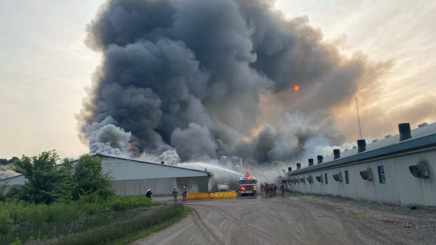 20K hogs dead as crews battle massive barn fire south of London, Ont.