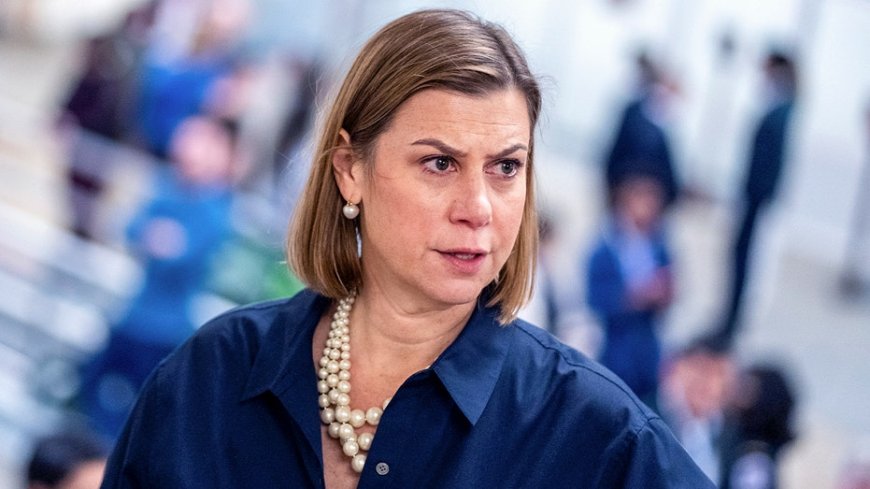 WATCH: Elissa Slotkin says SAVE America Act would make it 'hard for any Democrat' to win an election