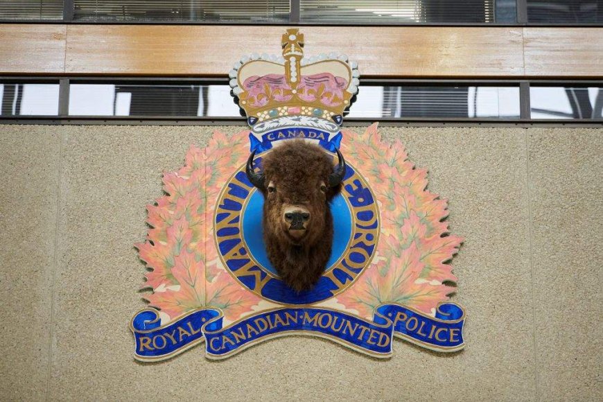 Manitoba sheriff dies after van collides with train near Portage la Prairie