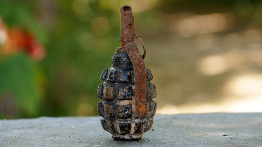 Canadian police politely ask people to stop bringing them unexploded WWII grenades