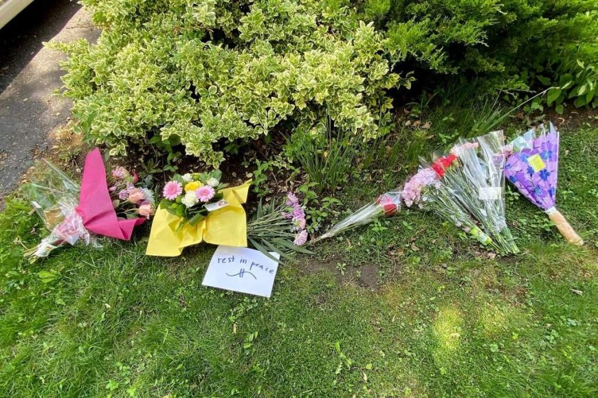 Sentencing expected for boy who killed elderly woman in Pickering, Ont.