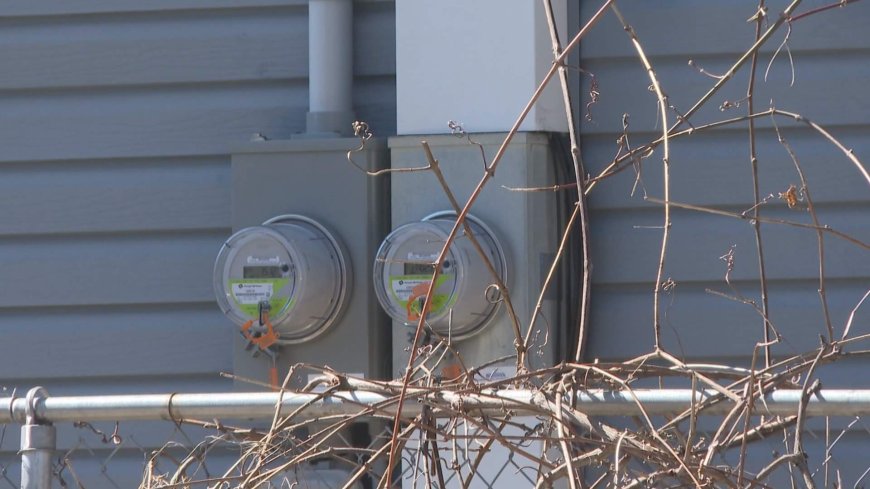 NS Power says billing ‘back to normal’ after cyberattack, so it’s bringing back late fees