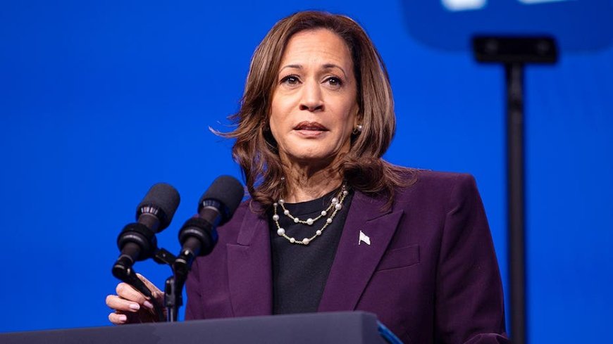 Harris calls for ICE probe after Maine shooting amid renewed 'border czar' criticism