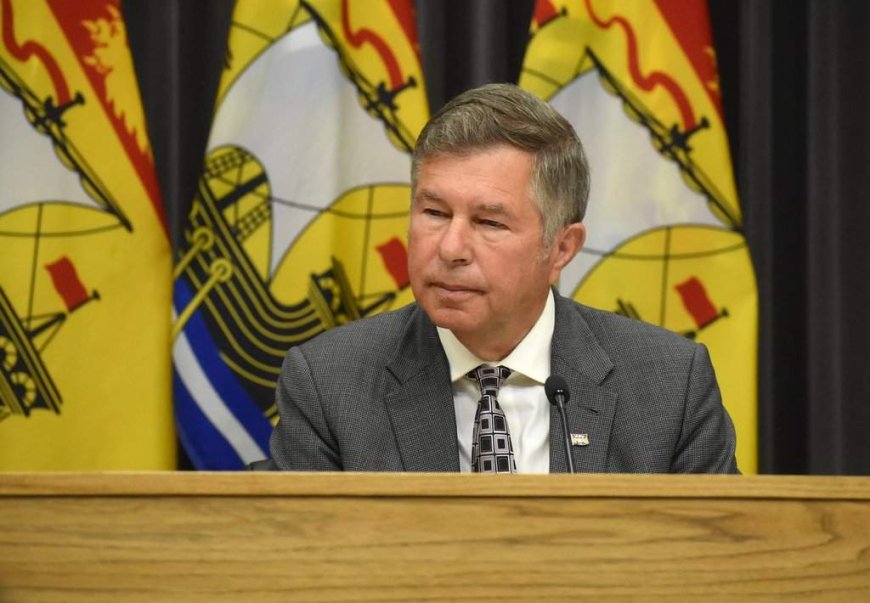 New Brunswick vows improvements to virtual care after criticism of new provider