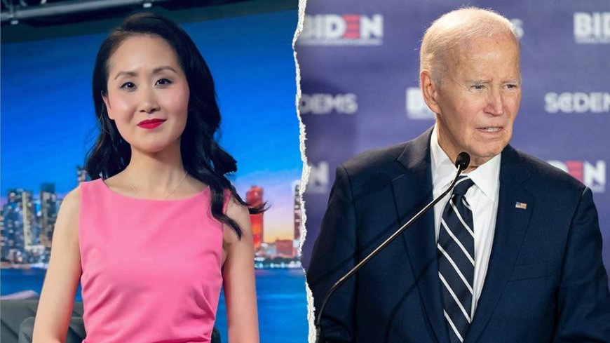 Ex-Dem fundraiser torches Biden as book launch implodes: 'No one wants to read'