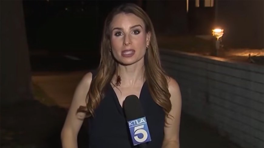 Los Angeles journalist goes viral keeping calm while a cockroach crawls over her during on-air report