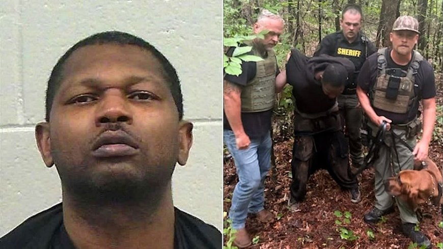 Bloodhound K-9 unit helps bring Georgia manhunt to end with arrest of suspect accused of shooting woman