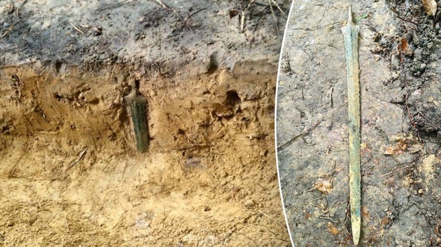 Mystery deepens after 2,700-year-old bronze sword emerges standing upright