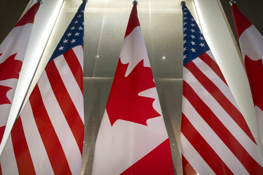 Canadian diplomats in U.S. face gun violence, housing woes: audit