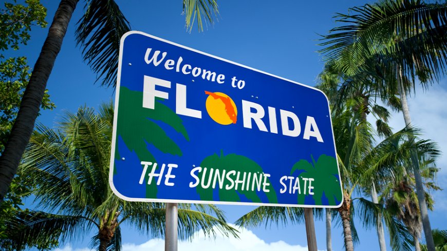 Elderly Florida woman goes viral after getting hilariously crude license plate