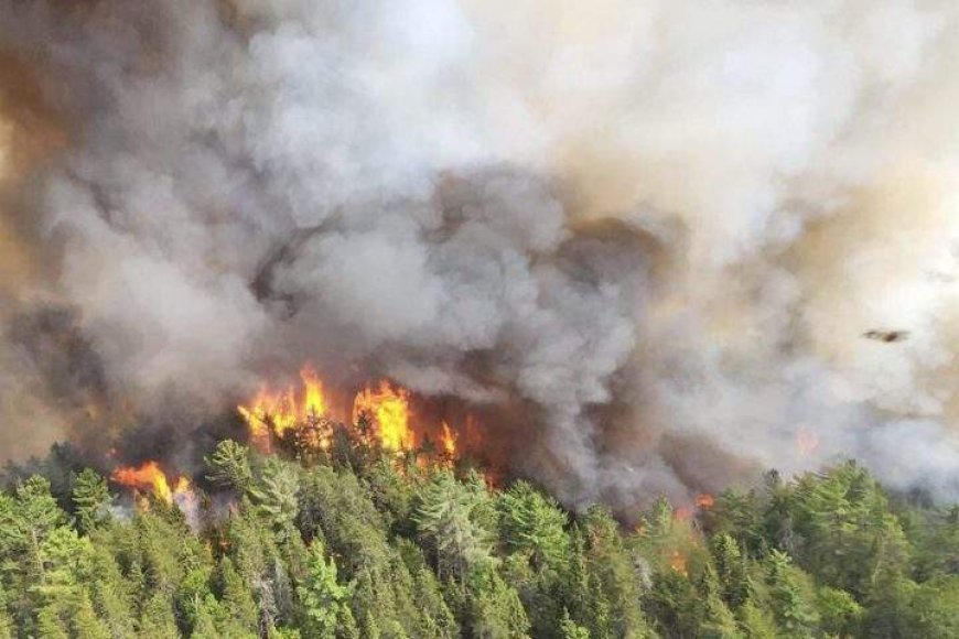 Ford government taps Canadian military for help with massive Ontario wildfires