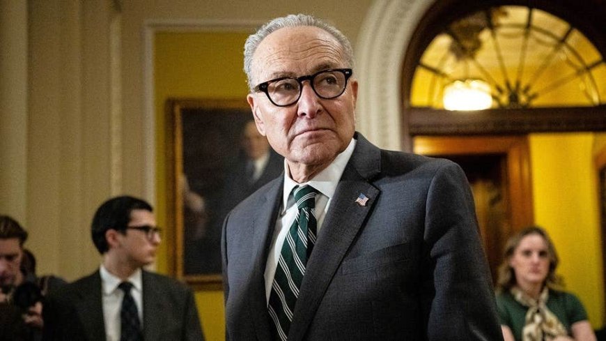 Schumer dodges questions after bombshell report alleges Dem senator had relationships with House staffers